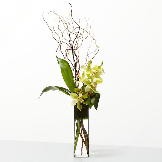 The Statement –  House Of Flowers, Worcester MA