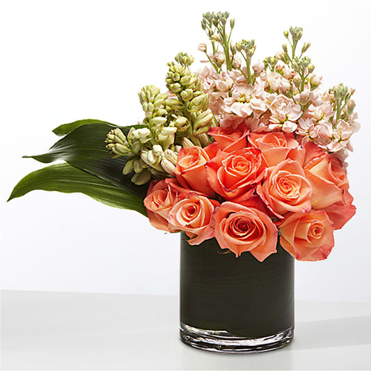 The Moment –  House Of Flowers, Worcester MA