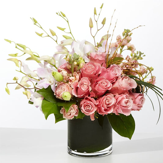 The Muse –  House Of Flowers, Worcester MA