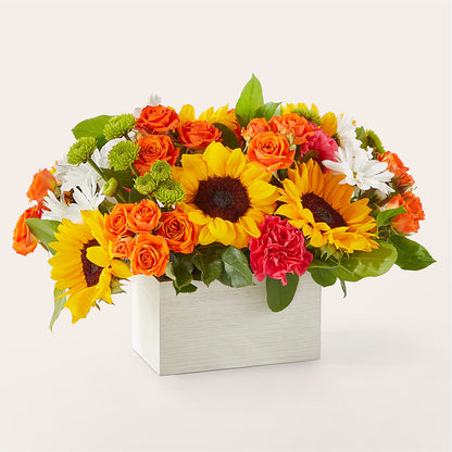 Sun-drenched Blooms Box Bouquet –  House Of Flowers, Worcester MA