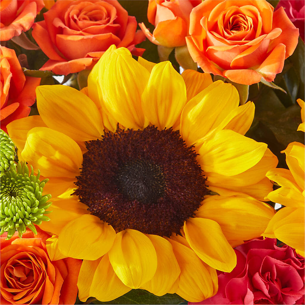 Sun-drenched Blooms Box Bouquet –  House Of Flowers, Worcester MA