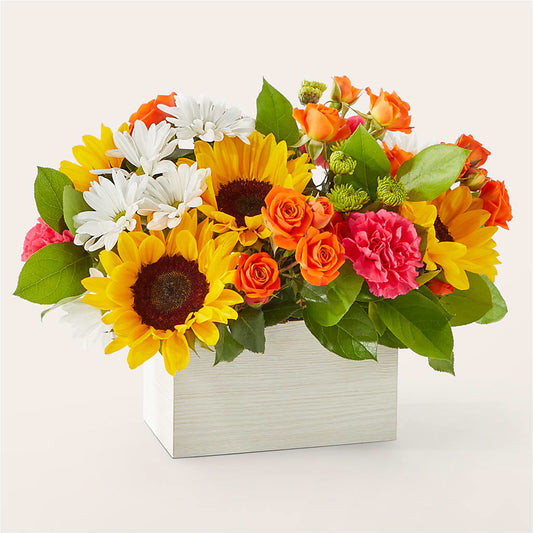 Sun-drenched Blooms Box Bouquet –  House Of Flowers, Worcester MA