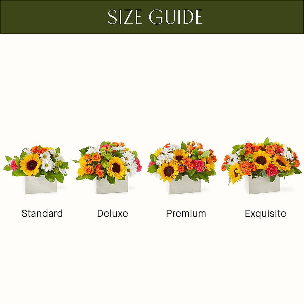 Sun-drenched Blooms Box Bouquet –  House Of Flowers, Worcester MA