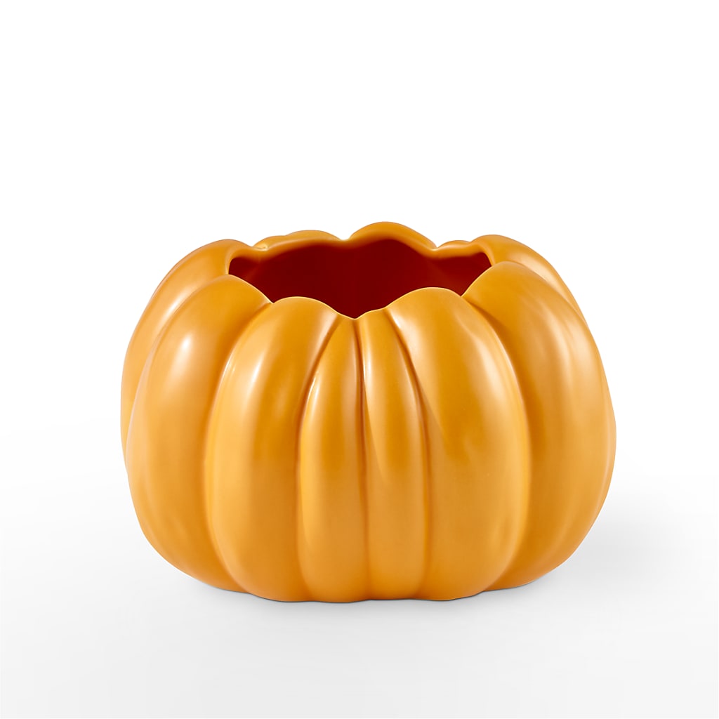 Pick of the Patch Pumpkin Bouquet –  House Of Flowers, Worcester MA