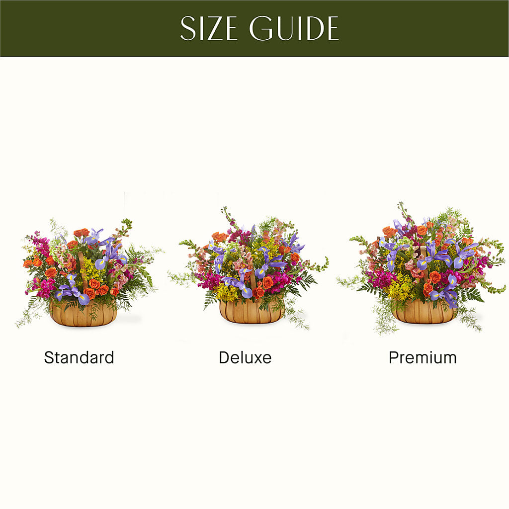 Garden of Life Basket –  House Of Flowers, Worcester MA