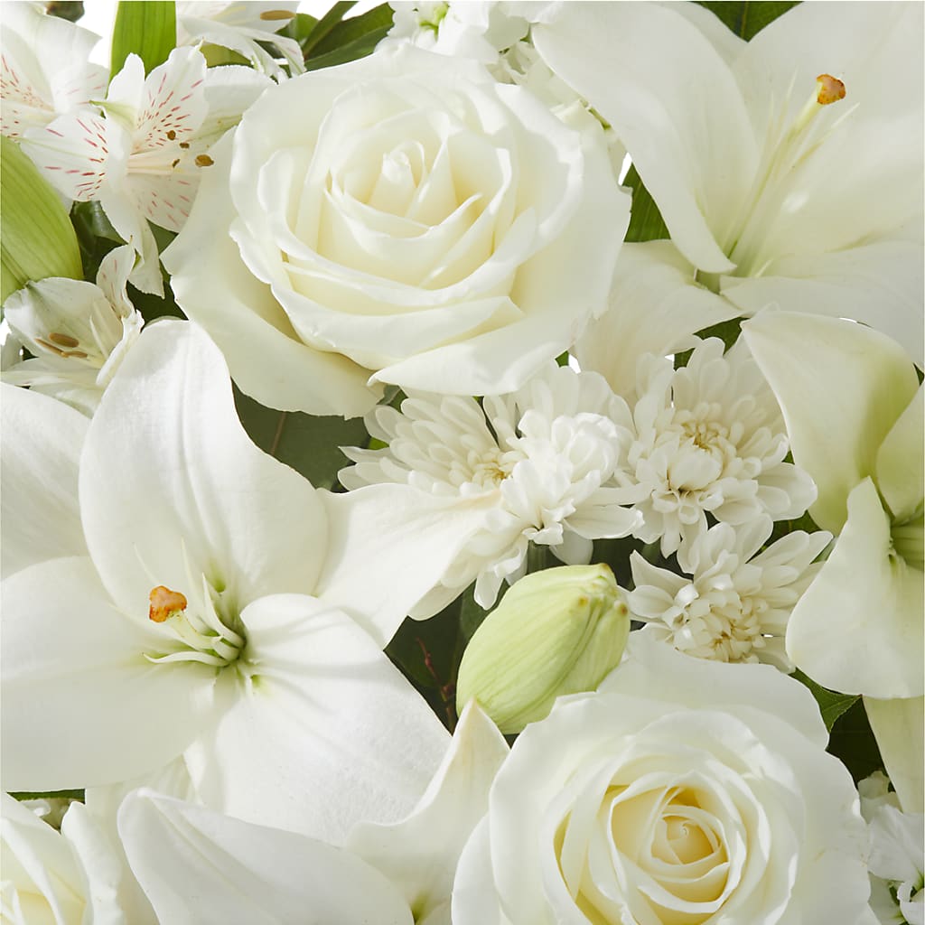 Peaceful Reflections Arrangement –  House Of Flowers, Worcester MA