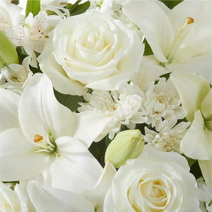 Peaceful Reflections Arrangement –  House Of Flowers, Worcester MA