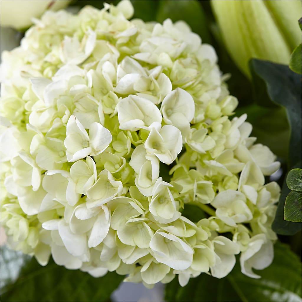 Classic Ivory – A Florist Original –  House Of Flowers, Worcester MA