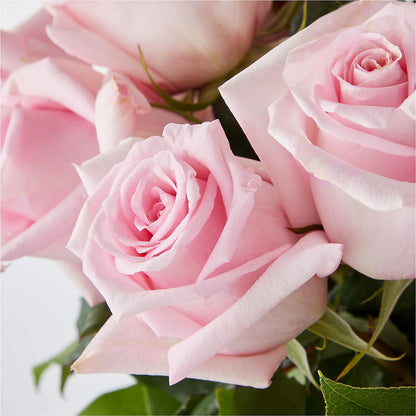Picture Perfect Pink Rose Bouquet –  House Of Flowers, Worcester MA