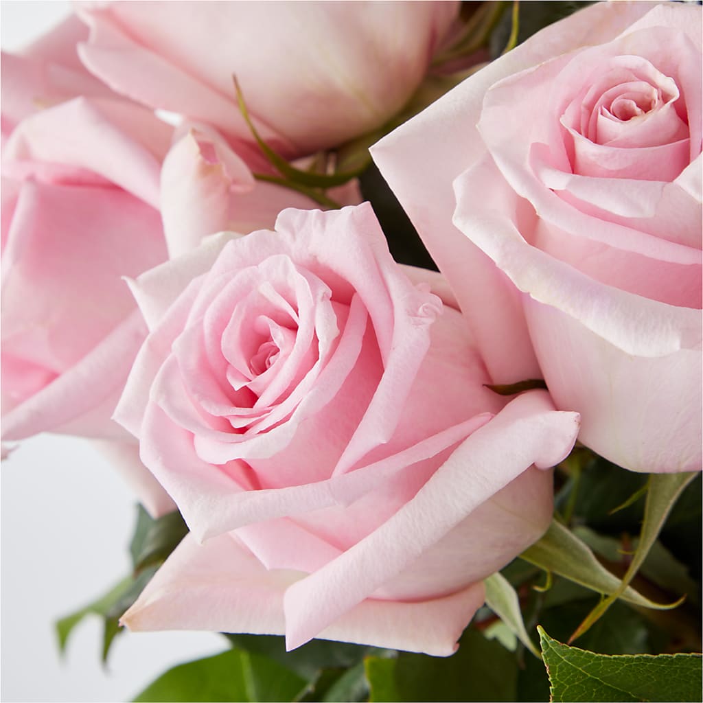 Picture Perfect Pink Rose Bouquet –  House Of Flowers, Worcester MA