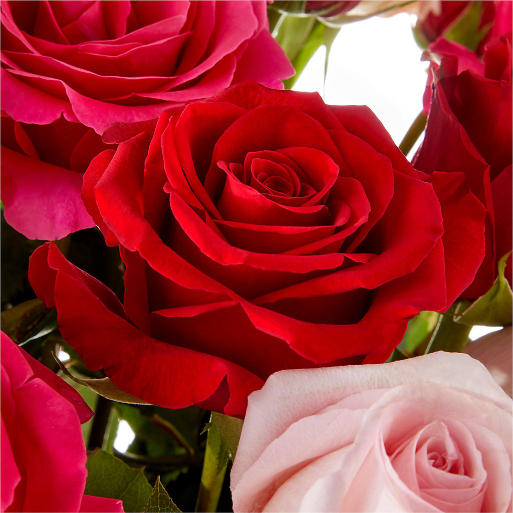 Love Notes Rose Bouquet –  House Of Flowers, Worcester MA