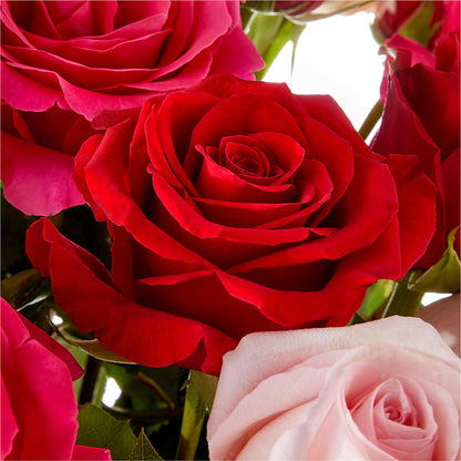 Love Notes Rose Bouquet –  House Of Flowers, Worcester MA