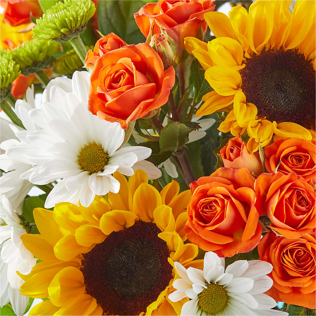 Sun-drenched Blooms Bouquet –  House Of Flowers, Worcester MA
