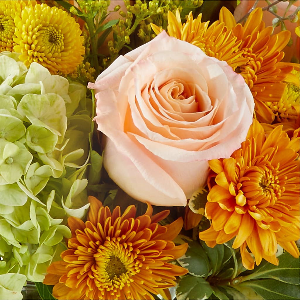 Fall Foliage Bouquet –  House Of Flowers, Worcester MA
