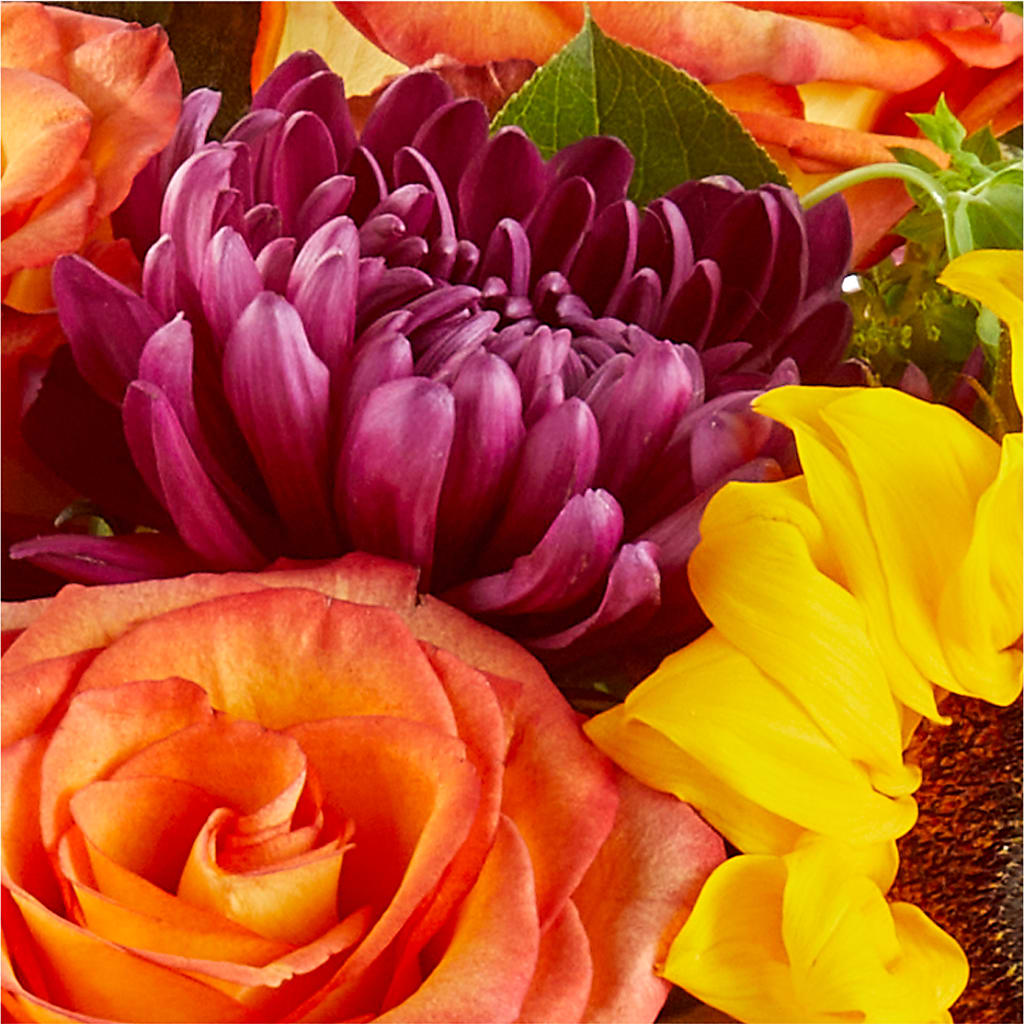 Nature Walk Bouquet –  House Of Flowers, Worcester MA
