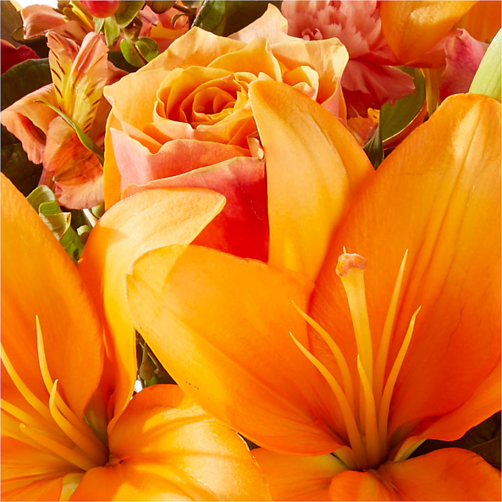 Afternoon Light Bouquet –  House Of Flowers, Worcester MA