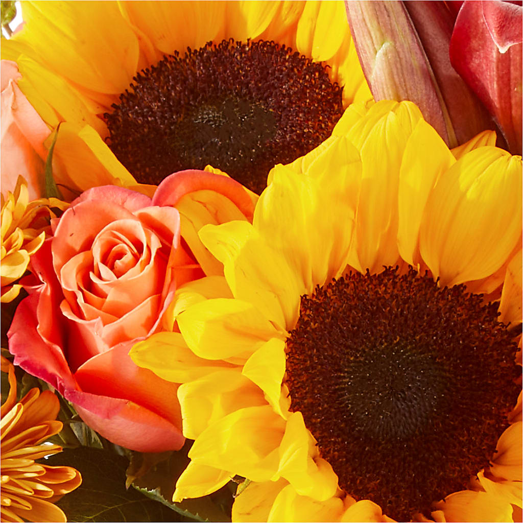 Acorn Lane Bouquet –  House Of Flowers, Worcester MA