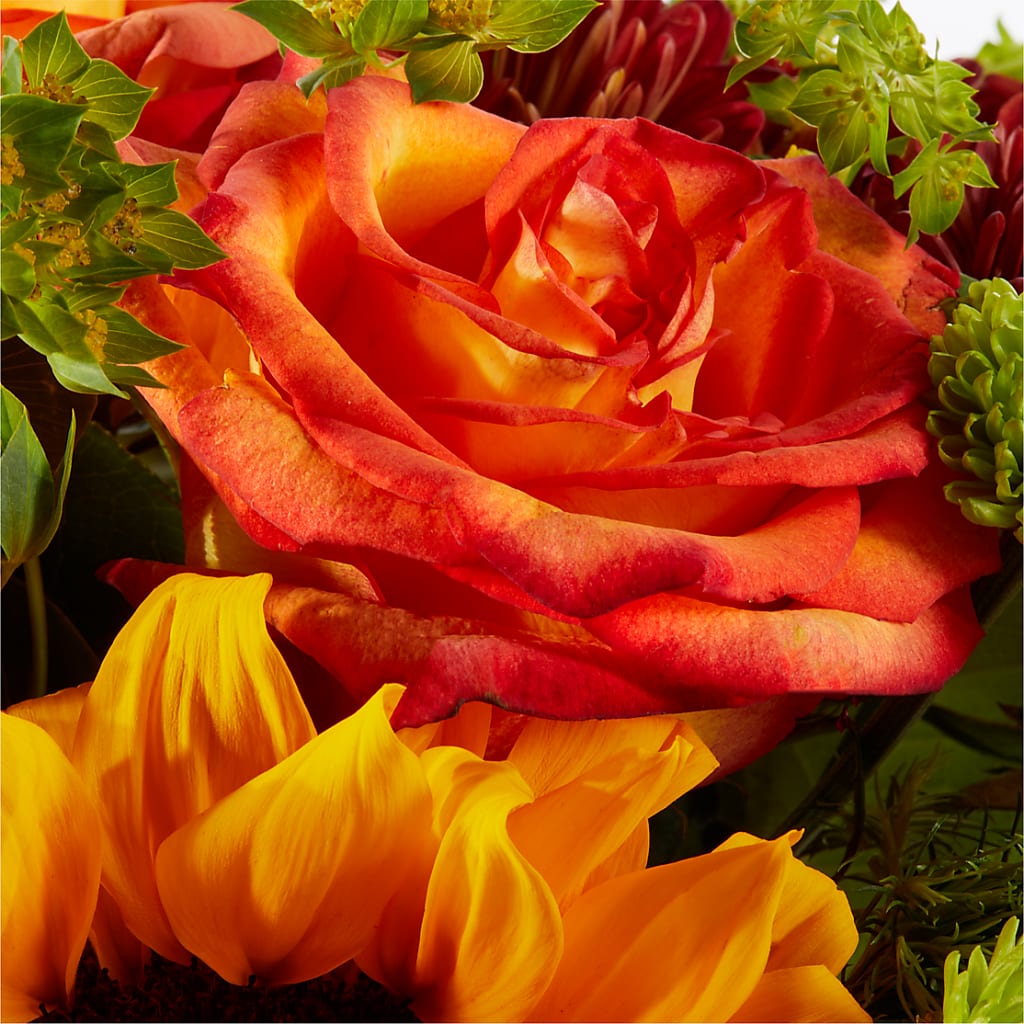 Harvest Festival Bouquet –  House Of Flowers, Worcester MA
