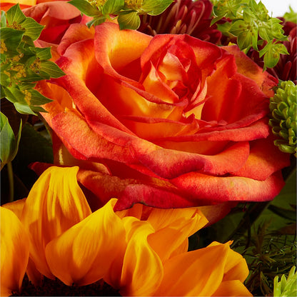 Harvest Festival Bouquet –  House Of Flowers, Worcester MA