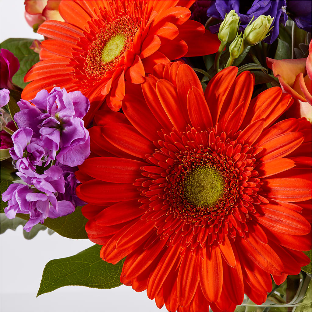Sangria Bouquet –  House Of Flowers, Worcester MA