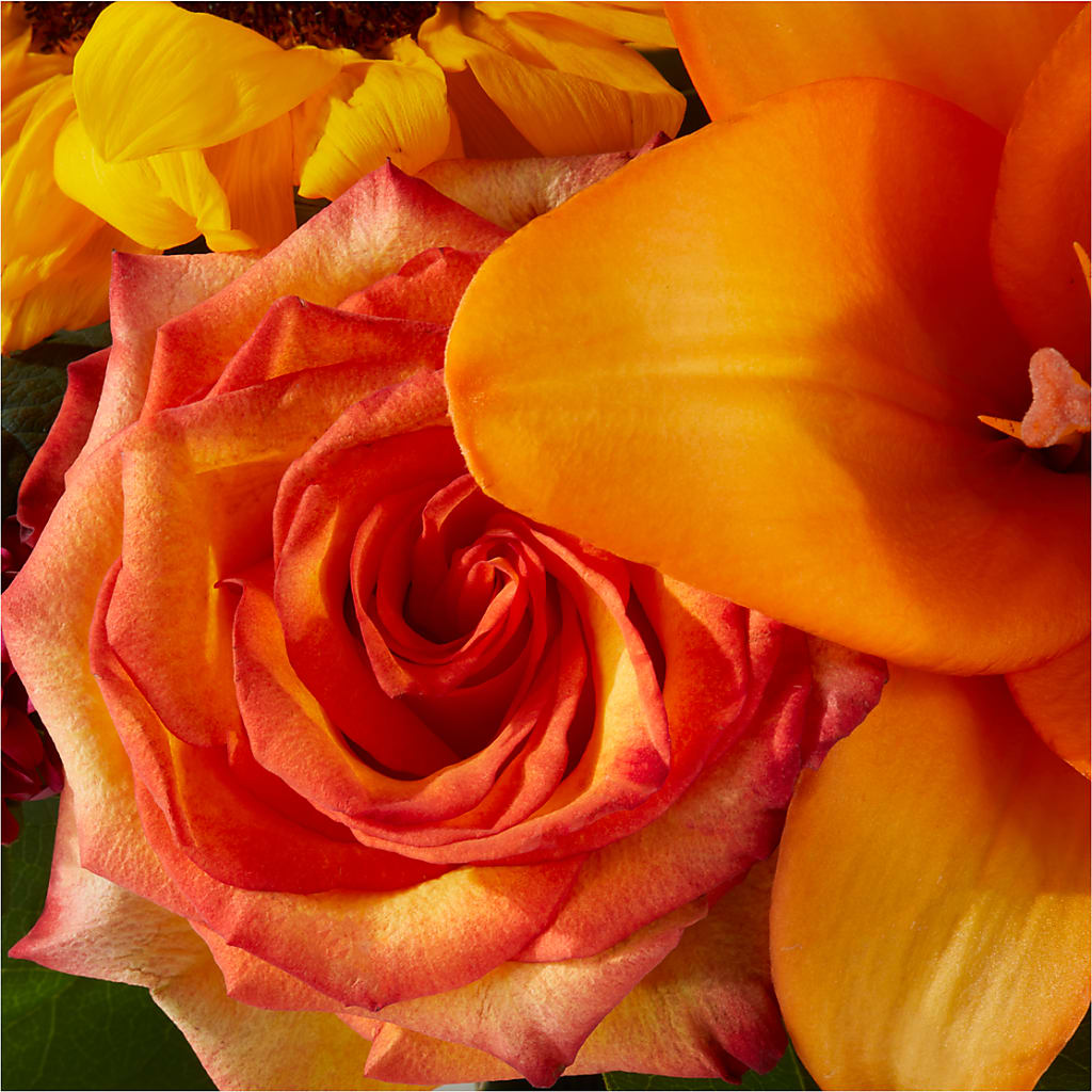 Grateful Centerpiece –  House Of Flowers, Worcester MA