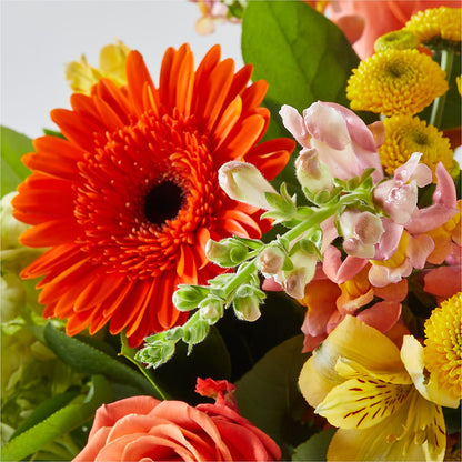 Autumn Sunshine Bouquet –  House Of Flowers, Worcester MA