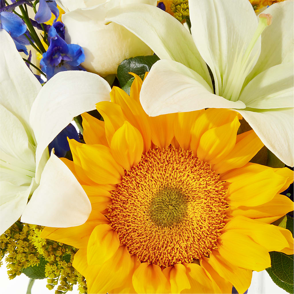 Stargazing Bouquet –  House Of Flowers, Worcester MA