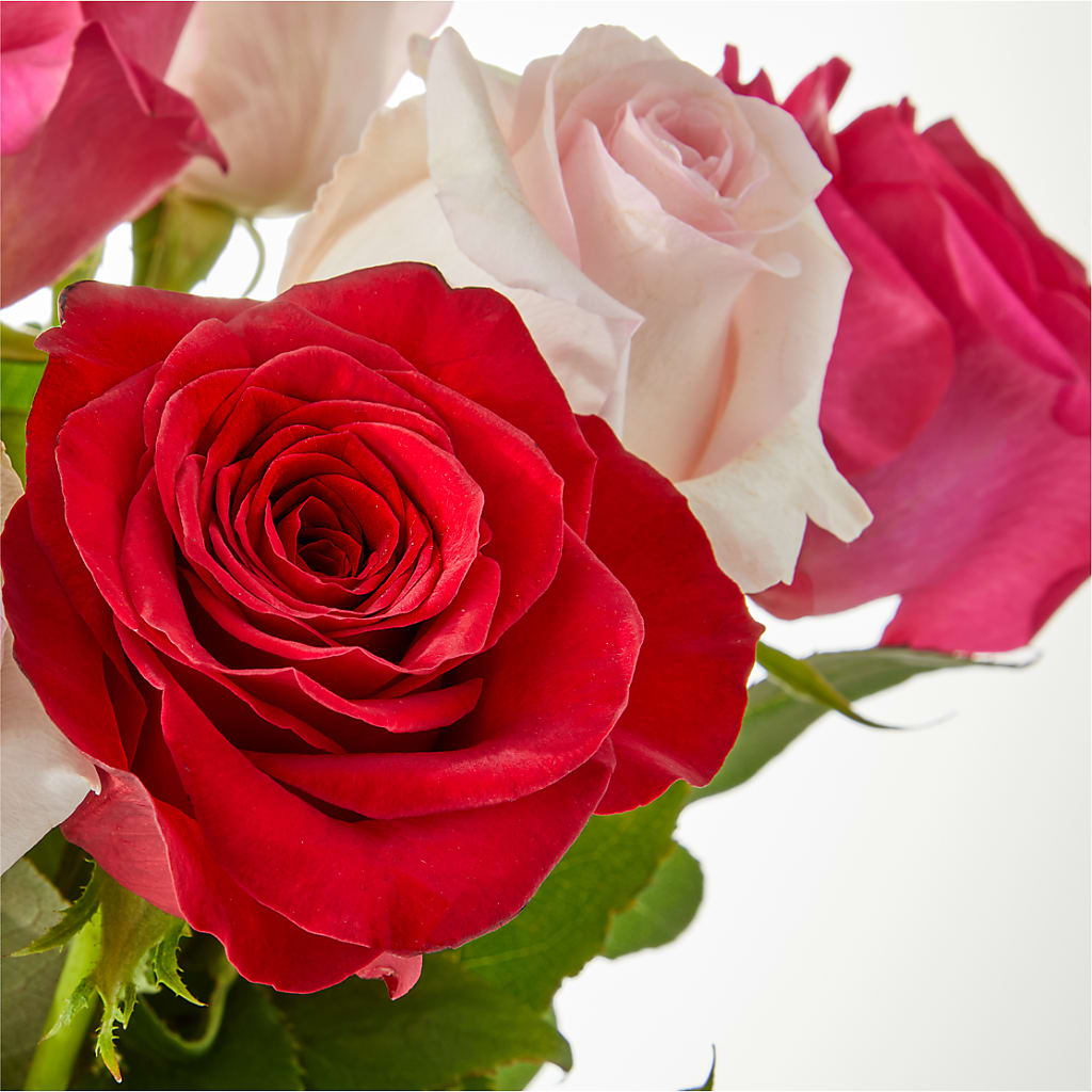 Charming Rose Bouquet –  House Of Flowers, Worcester MA