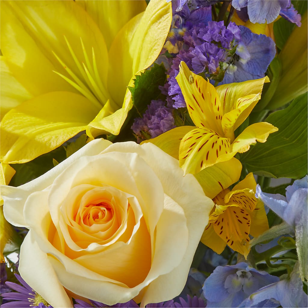 Limoncello Bouquet –  House Of Flowers, Worcester MA