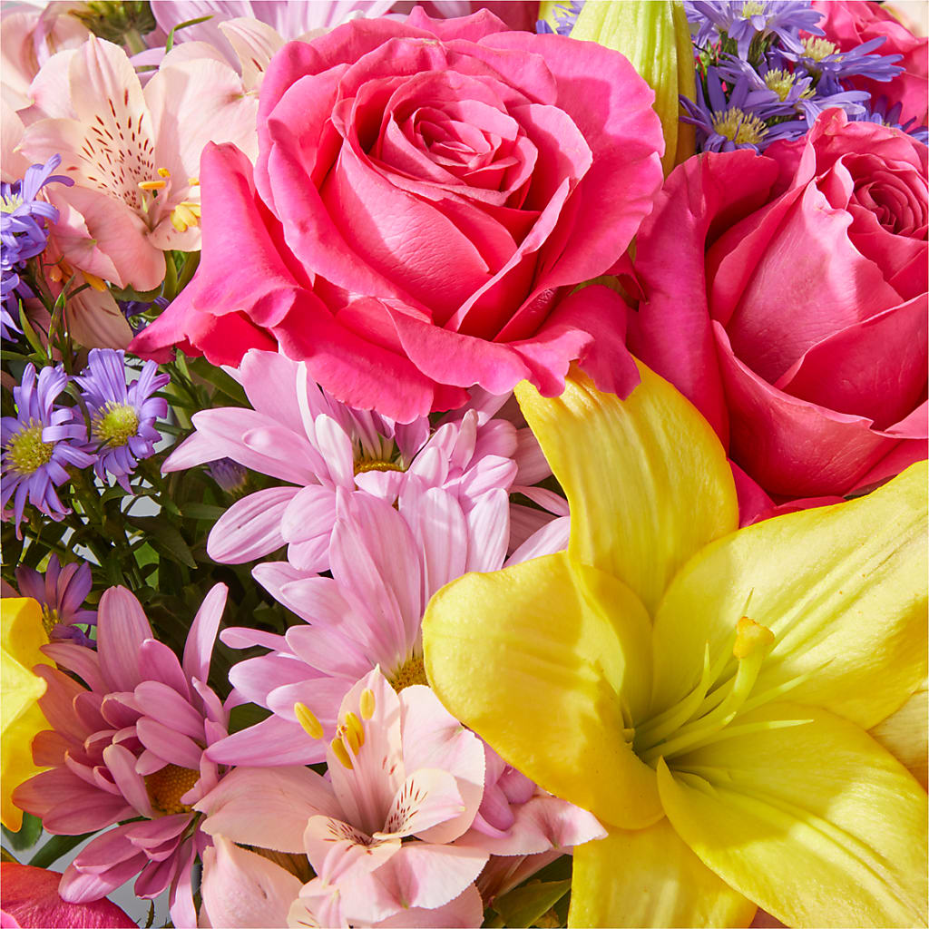 Sprinkles Bouquet –  House Of Flowers, Worcester MA