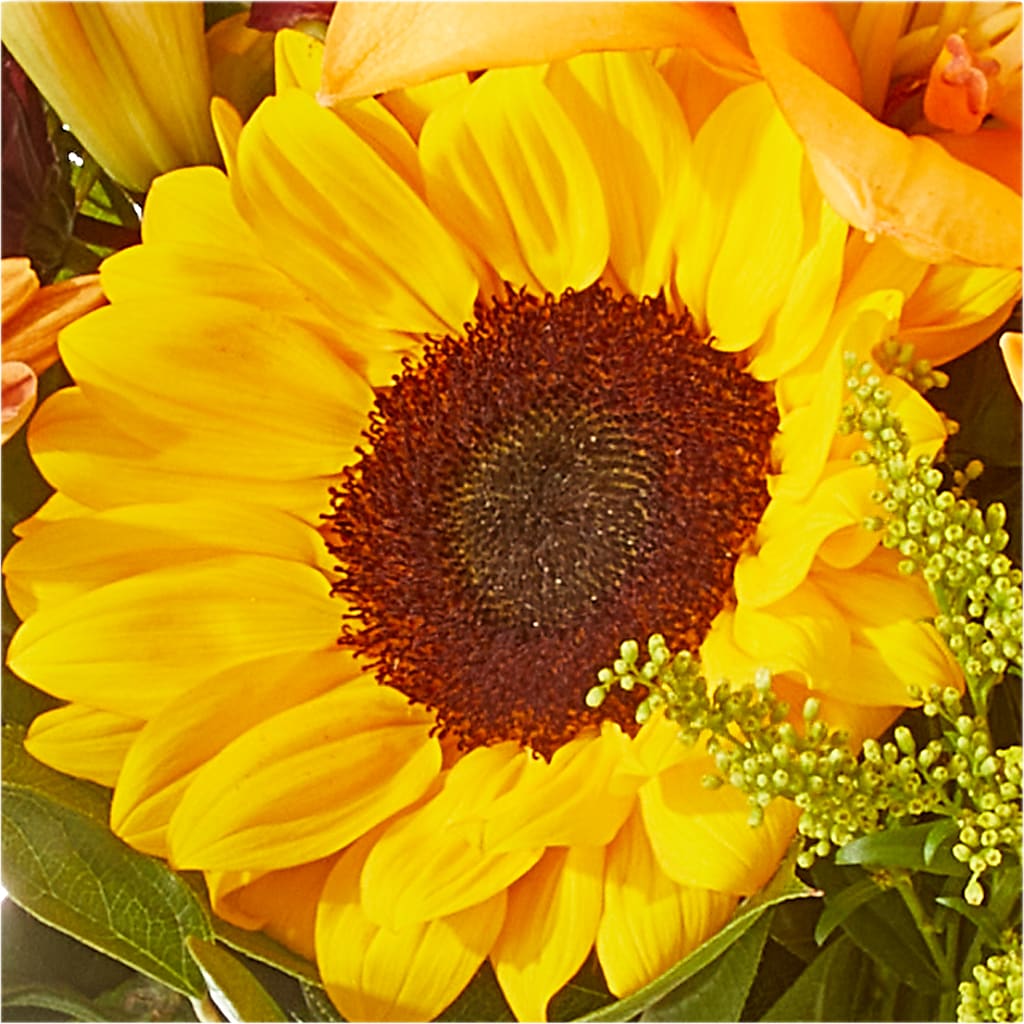 Seasons Change Bouquet –  House Of Flowers, Worcester MA