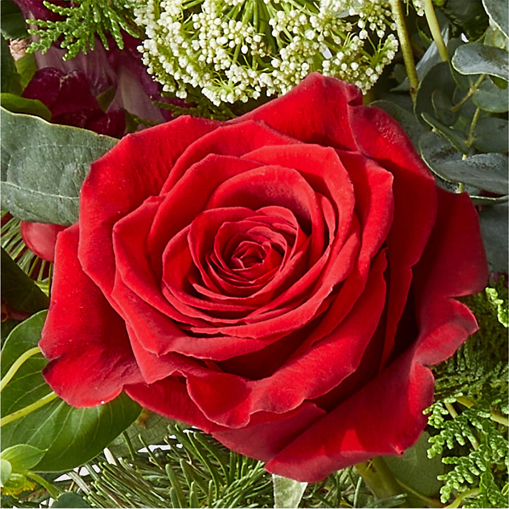Cranberry Fizz Bouquet –  House Of Flowers, Worcester MA