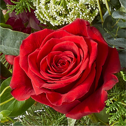 Cranberry Fizz Bouquet –  House Of Flowers, Worcester MA
