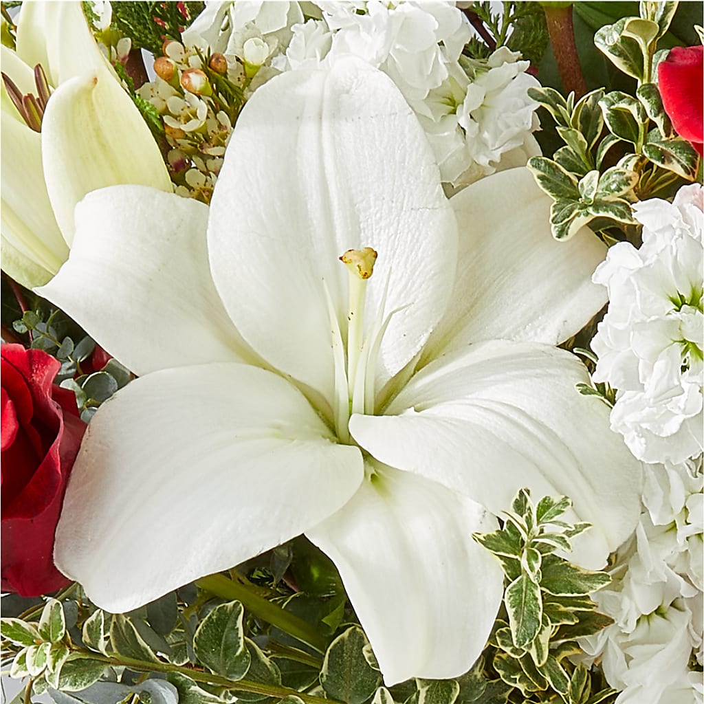 Twinkle Lights Bouquet –  House Of Flowers, Worcester MA