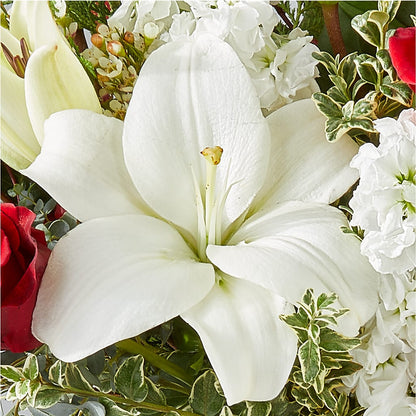 Twinkle Lights Bouquet –  House Of Flowers, Worcester MA