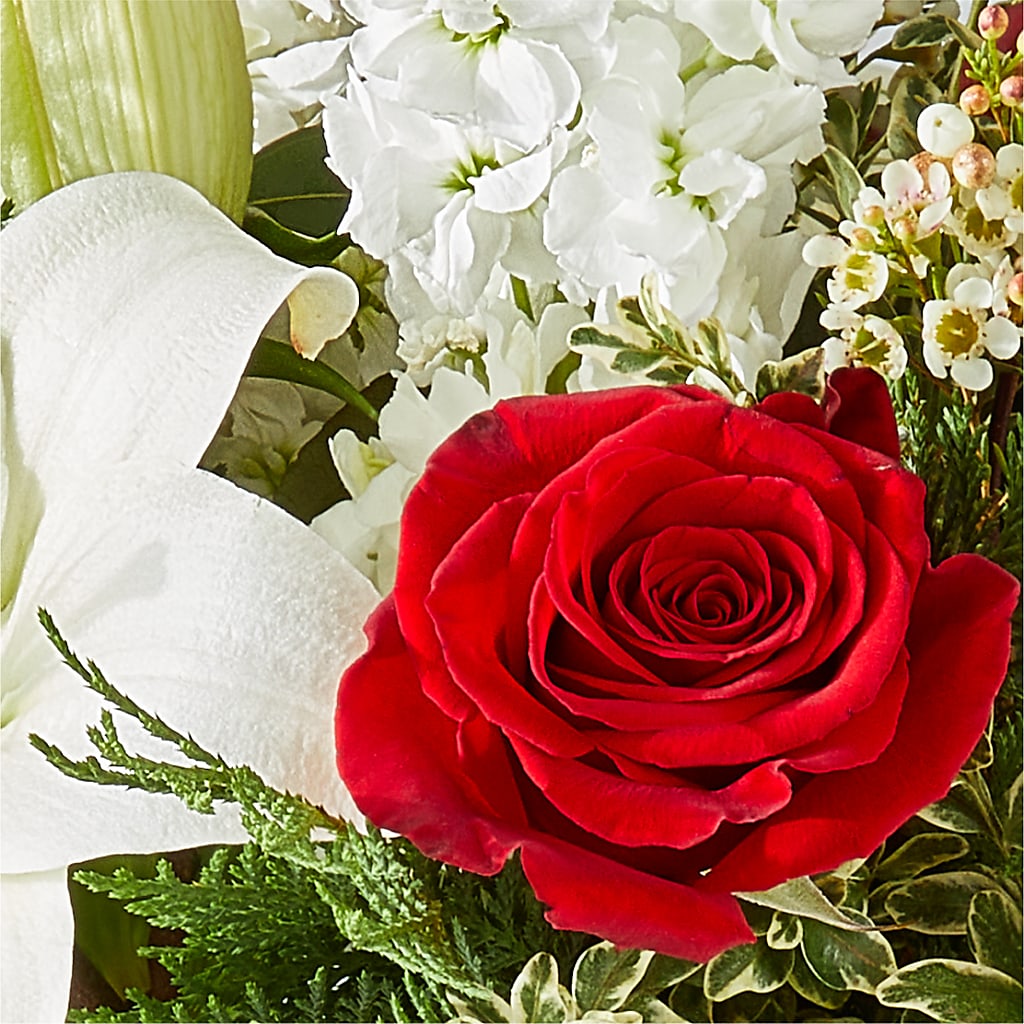 Twinkle Lights Bouquet –  House Of Flowers, Worcester MA