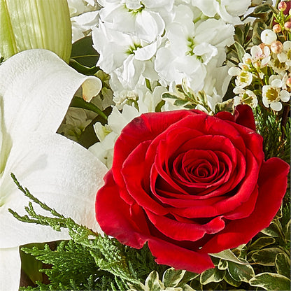 Twinkle Lights Bouquet –  House Of Flowers, Worcester MA