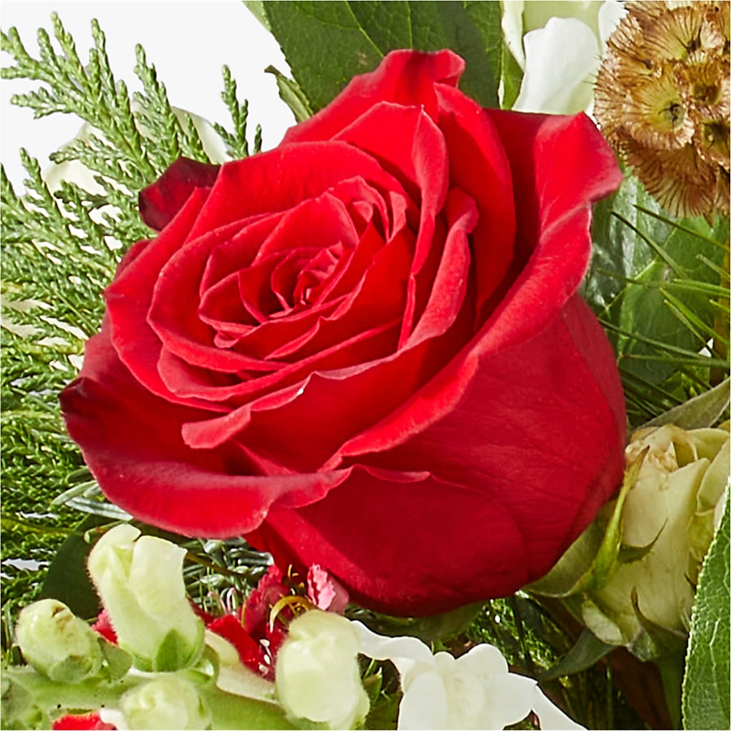 Deck the Halls Bouquet –  House Of Flowers, Worcester MA