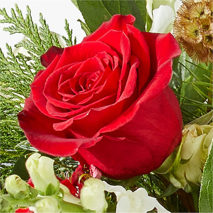 Deck the Halls Bouquet –  House Of Flowers, Worcester MA