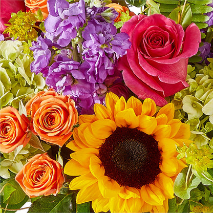 Vibrant Greetings Bouquet –  House Of Flowers, Worcester MA