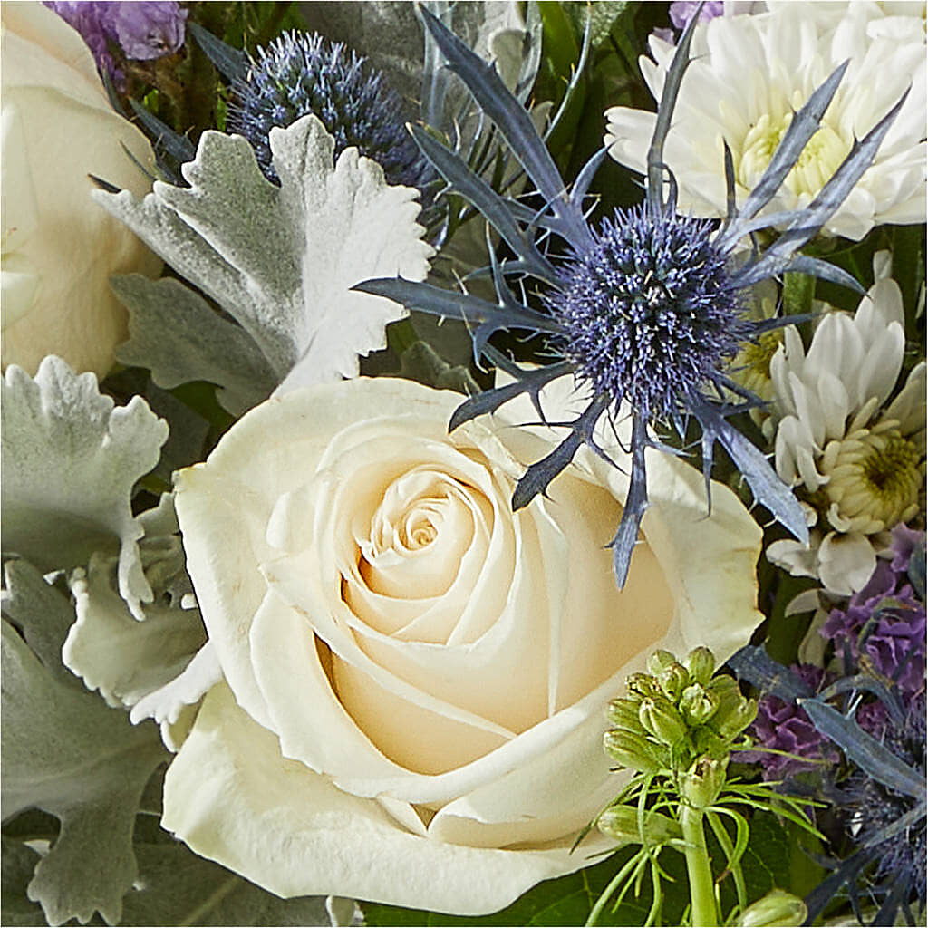 Shooting Star Bouquet –  House Of Flowers, Worcester MA