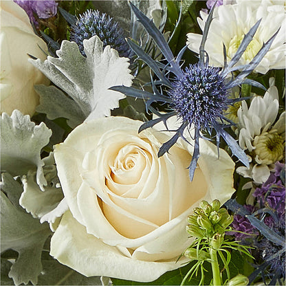 Shooting Star Bouquet –  House Of Flowers, Worcester MA