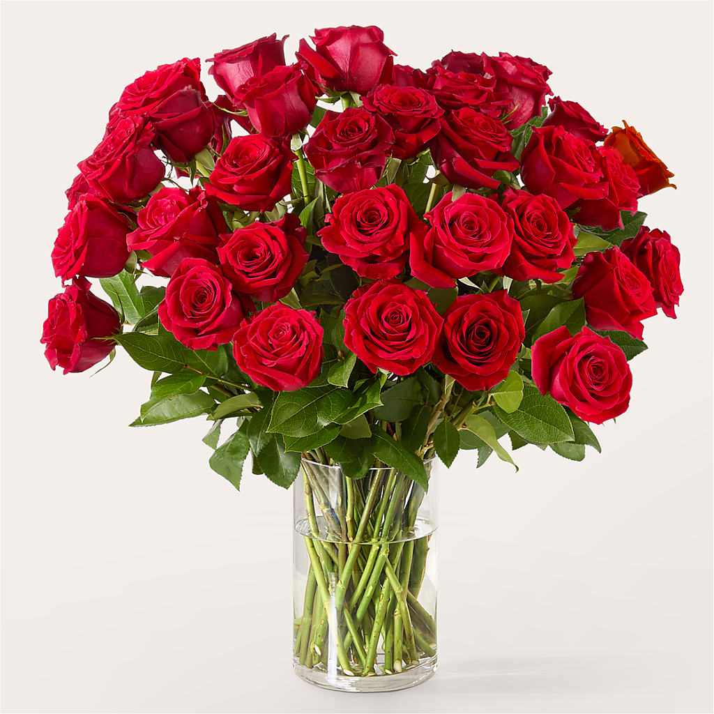 The One Red Rose Bouquet –  House Of Flowers, Worcester MA