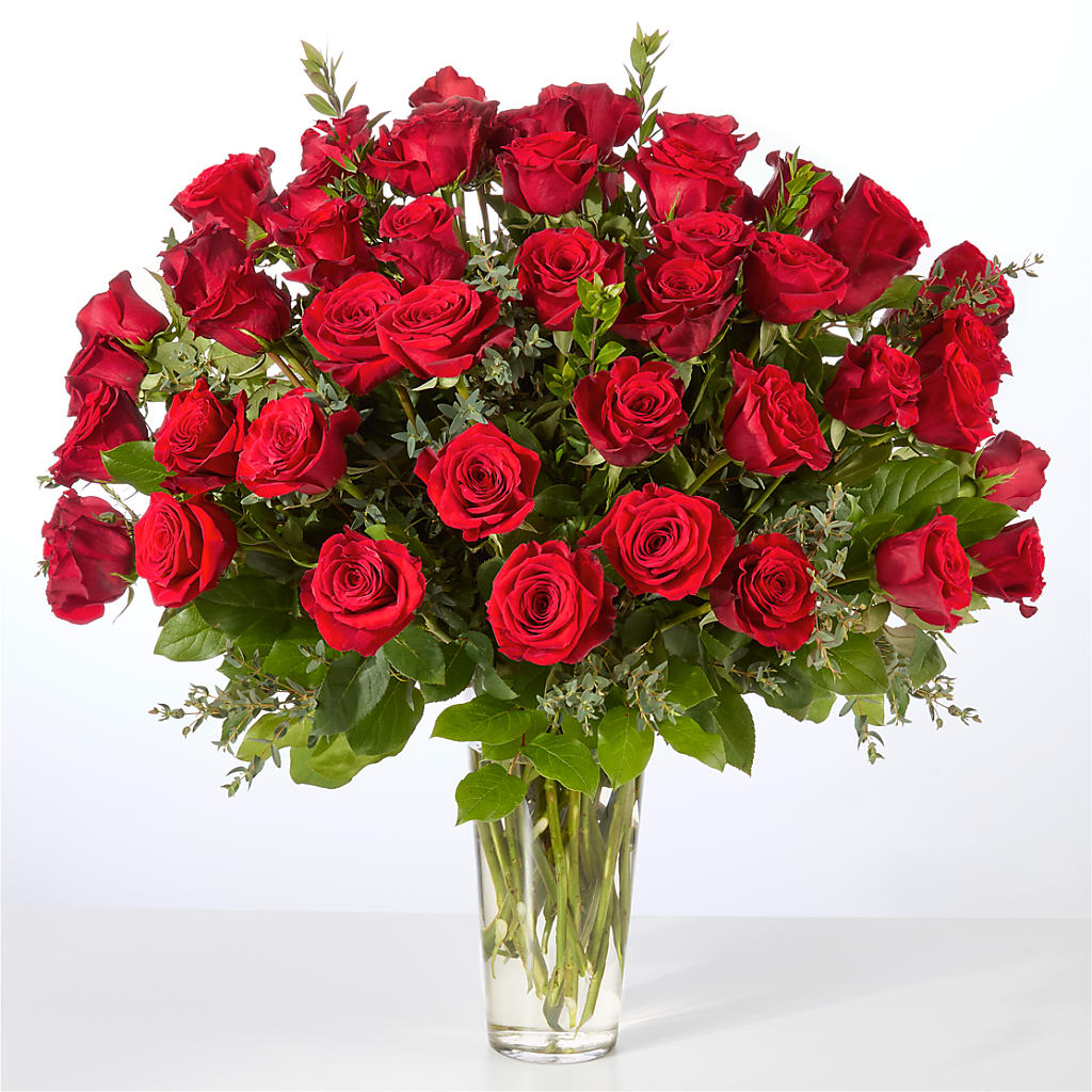 Forever Yours Fifty Stem Red Rose Bouquet –  House Of Flowers, Worcester MA
