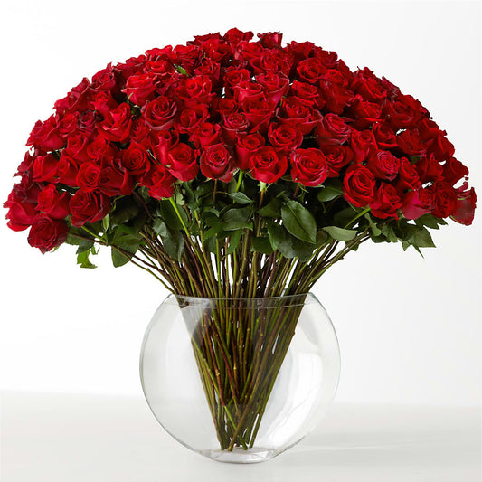 The Idealist –  House Of Flowers, Worcester MA