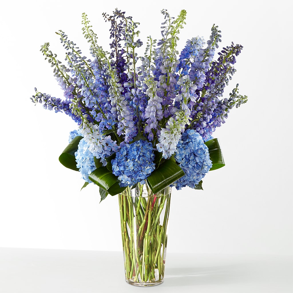 The Editorial –  House Of Flowers, Worcester MA