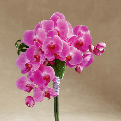 Glorious Bouquet –  House Of Flowers, Worcester MA