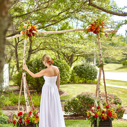 Arbor of Love Archway –  House Of Flowers, Worcester MA