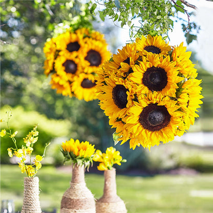 Sublime Garden Hanging Arrangement –  House Of Flowers, Worcester MA