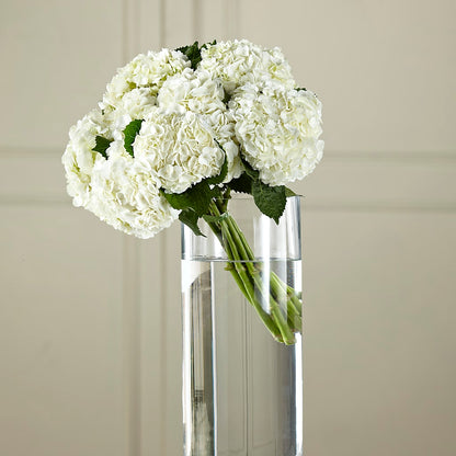 White Hydrangea Hand-Tied Bouquet –  House Of Flowers, Worcester MA